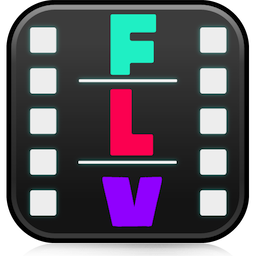 FLVPlayer v4.0 ٷ°