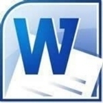 Microsoft Office Word 2010ɫ 