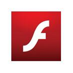 Flash ɫѰ
